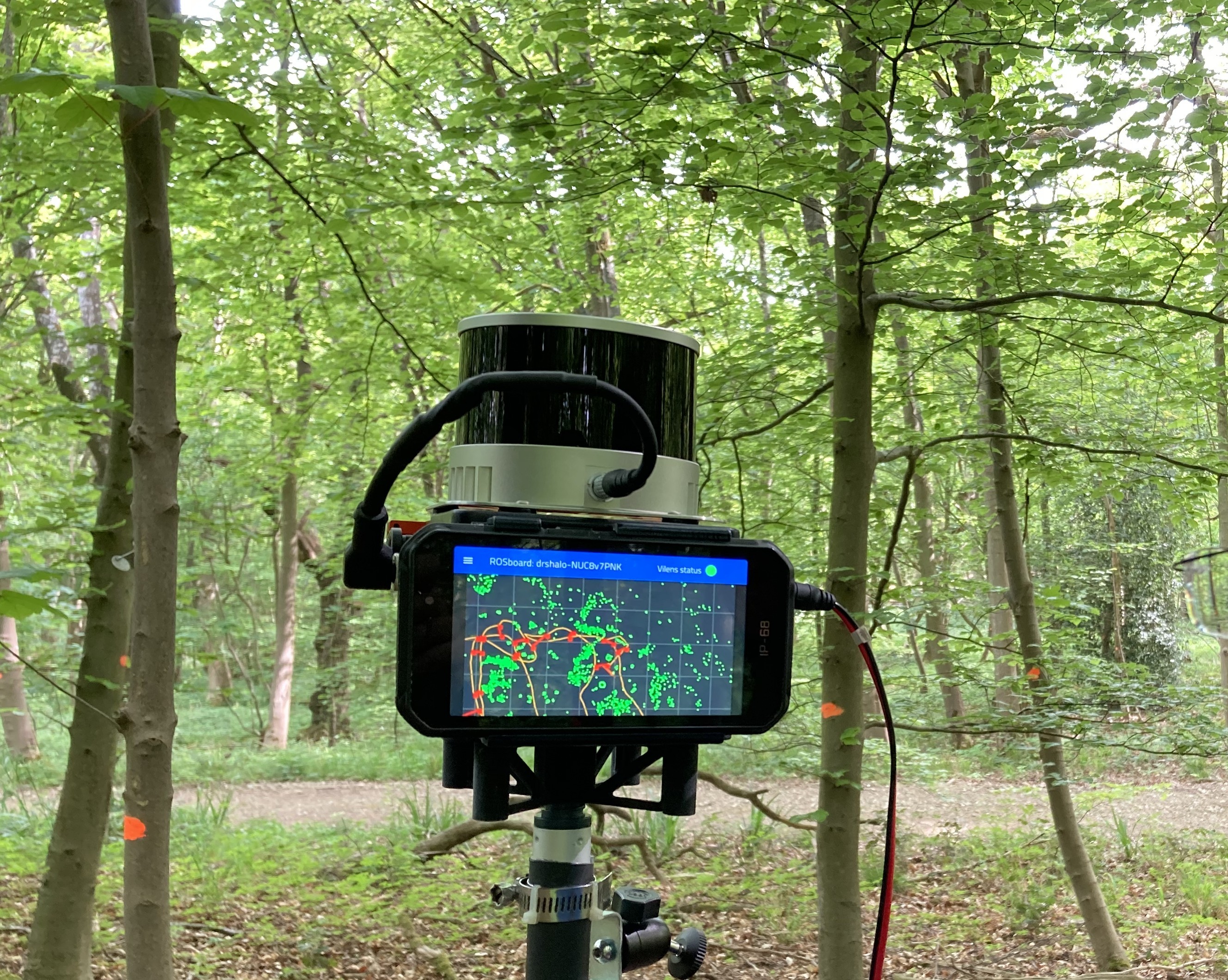 Handheld frontier in a forest